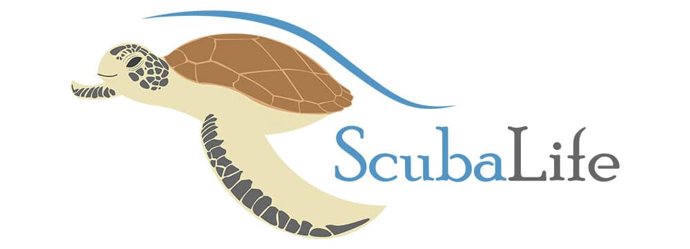 עיצוב לוגו ומיתוג SCUBALIFE